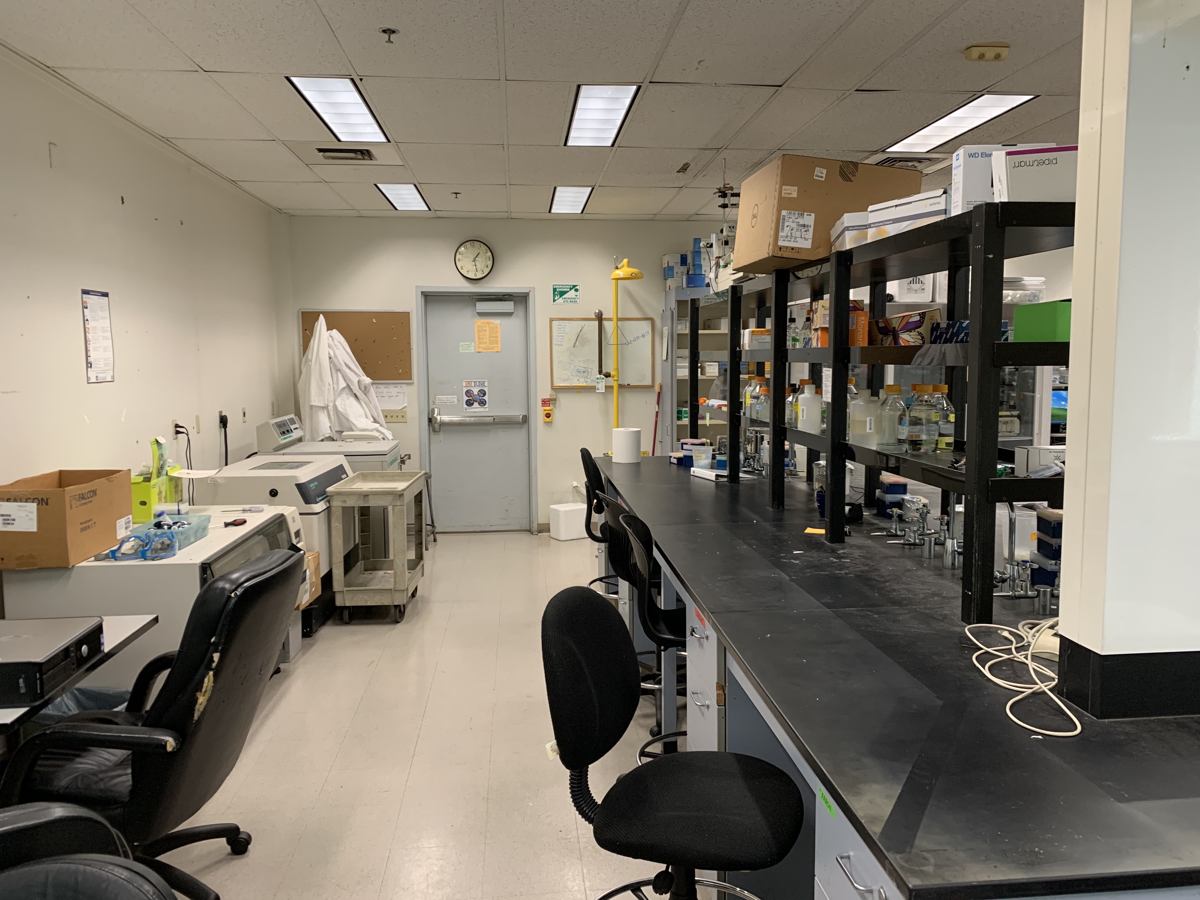Biochemistry Tenure Track Lab Space Department Of Chemistry And Biochemistry Csuf